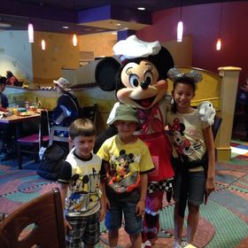 Profile Picture of Yvette Haley (@yvettelupini) on Pinterest