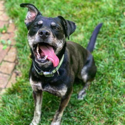 Profile Picture of Michael (@Michael_M0ran) on Twitter