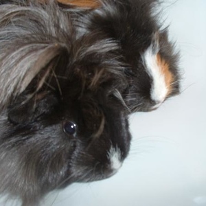 Profile Picture of Martin Zurawski (@246118871) on Myspace