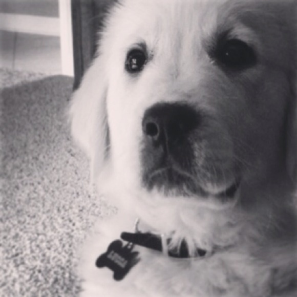 Profile Picture of Sherry Michelucci (@sher525) on Poshmark