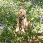 Profile Picture of Anne Ogle (@anne.ogle.3) on Instagram