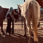 Profile Picture of Toni Gross (@toni.gross) on Instagram