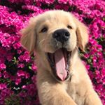 Profile Picture of —kendall🌷 (@moodypngs) on Instagram