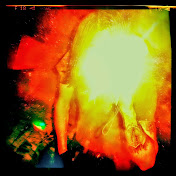 Profile Picture of Daniel Schnurr (@danielschnurr6117) on Youtube