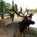 Profile Picture of Randy Corle (@randy.corle.54) on Facebook