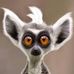 Profile Picture of Jim Vineyard (@TropicalFish4um) on Facebook
