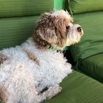 Profile Picture of Maureen Meaney (@maureen.meaney.1) on Facebook