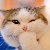 Profile Picture of Daniel Mouton (@Delo10281) on Youtube