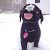 Profile Picture of Junwei Zhang (@jzhang96) on Pinterest