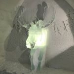 Profile Picture of Kenneth Lambert (@kennethlambert) on Instagram