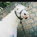 Profile Picture of K K Jj (@kk.jj.10) on Facebook