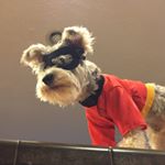 Profile Picture of Dylan LeMaster (@dylanlemaster1) on Instagram