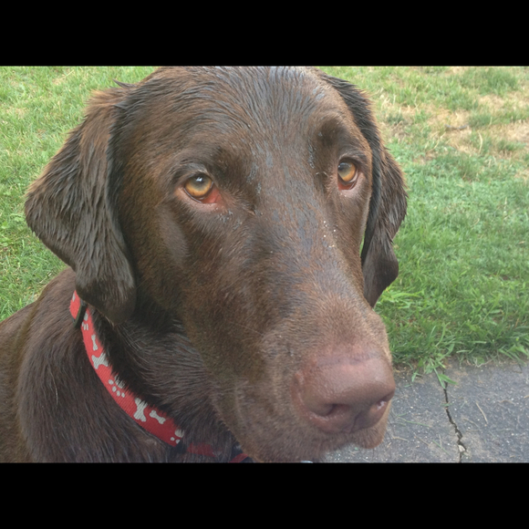 Christine Thiede - Poshmark Profile Picture of Christine Thiede (@christine915) on Poshmark