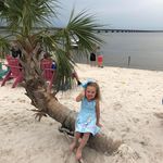 Profile Picture of Lisa M Shepler Murray (@murray2009) on Instagram