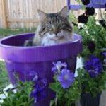 Profile Picture of Wynter Dawn Welker (@wynterwelker) on Instagram