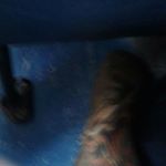 william humphries - Instagram Profile Picture of william humphries (@humphries.william) on Instagram