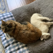 Profile Picture of Sky Johnson (@stuffwithskeelo3141) on Youtube