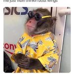 Profile Picture of Stephen Krell (@stephenkrell) on Instagram