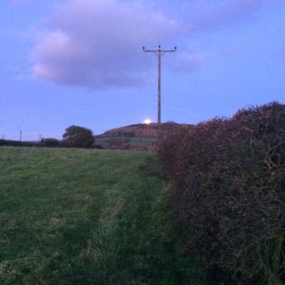 Profile Picture of Derek Milner (@Derekmilner1) on Twitter