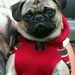Profile Picture of Ruby Mullins (@rubyrowley) on Pinterest