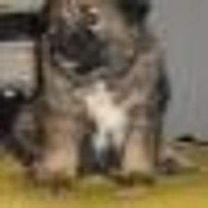 Profile Picture of Sandra Rebai (@393940297) on Myspace