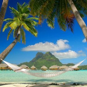 Profile Picture of Samara Joseph (@samsamsamara) on Pinterest