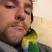 Profile Picture of Daniel Hanlin (@danielhanlin) on Pinterest