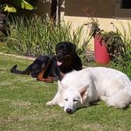 Profile Picture of Nathan Hazlewood (@nathan.l.hazlewood) on Facebook