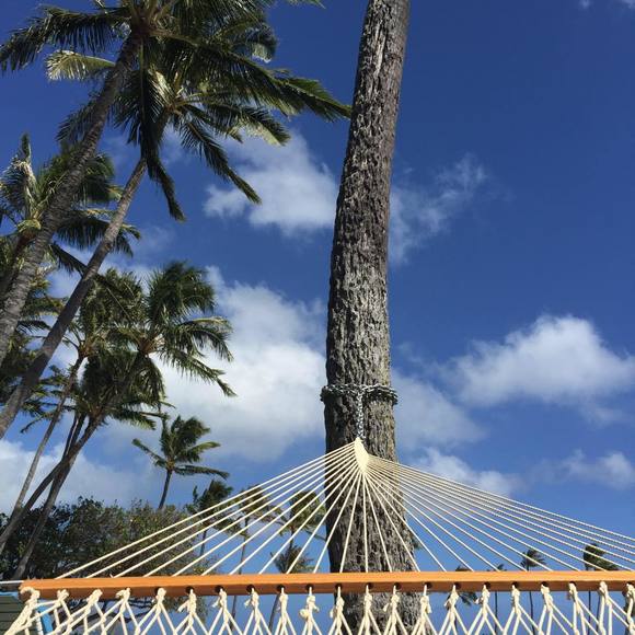 Profile Picture of Duke Komoto (@jisop2001) on Poshmark