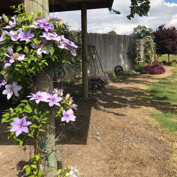 Profile Picture of Robin Trexler (@robintrex) on Poshmark