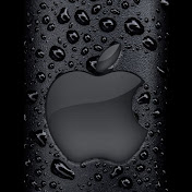 Profile Picture of MRR-PUNLEY (@leyofficial99) on Youtube