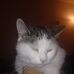 Profile Picture of Leo Friel (@leo.friel.7) on Facebook