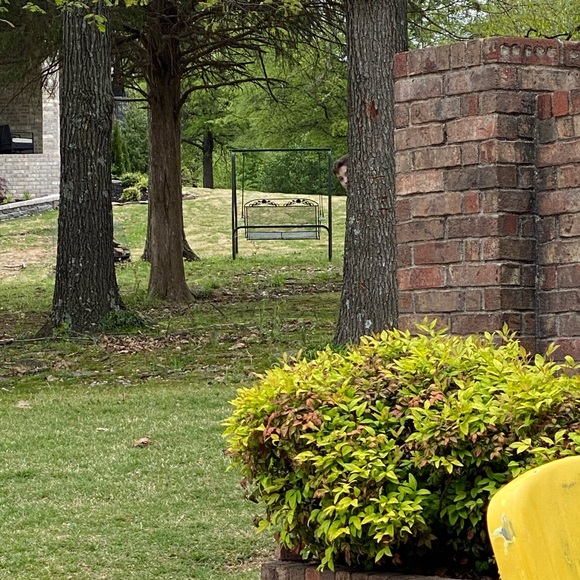 Profile Picture of Joseph Lewallen (@josephlewallen) on Poshmark