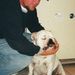 Profile Picture of Kenneth Naylor (@bullkenron) on Pinterest
