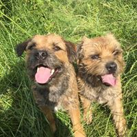 Profile Picture of Thomas Tune (@thomas-tune-3) on Quora