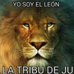 Profile Picture of Sammy Velasquez (@sammy.velasquez.353) on Instagram