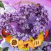 Profile Picture of Sheri Swift (@Sheri-Swift) on Facebook