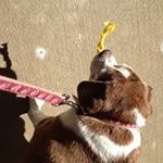 Profile Picture of Janet Wehner (@grandmawehne) on Instagram
