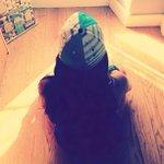 Profile Picture of Tamara Aldrich (@yourspunkypeak) on Instagram