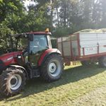 Profile Picture of Alex_haug (@alex_haug2007) on Instagram