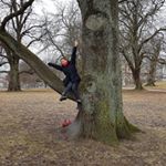 Profile Picture of Alyssa Chow (@alylycc) on Instagram