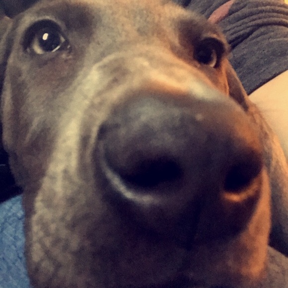 Profile Picture of Regan Saltzer (@oregano_13) on Poshmark