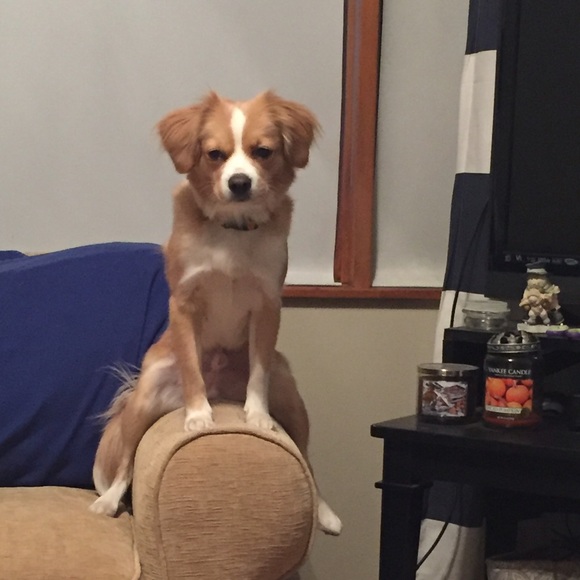 Michelle Garside - Poshmark Profile Picture of Michelle Garside (@garsidemc) on Poshmark