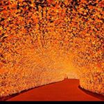 Profile Picture of Jeffrey Hsieh (@jeffrey.hsieh.507) on Instagram