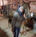 Profile Picture of Denise Kessler (@denise.kessler.560) on Facebook