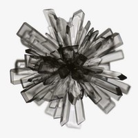 Profile Picture of Paula Ivan (@paula-ivan-3) on Quora