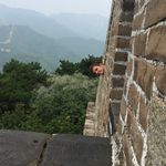 Profile Picture of Matthew Christakos (@mattfishtakos) on Instagram