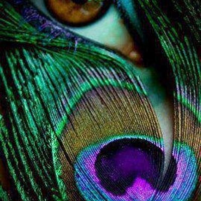 Profile Picture of Dharmishtha Patel (@Dharmishtha20) on Twitter