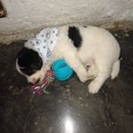 Profile Picture of Pamela Otálvaro. (@pot.323) on Instagram