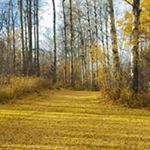 Profile Picture of Glenn Petersen (@glenn.petersen) on Instagram